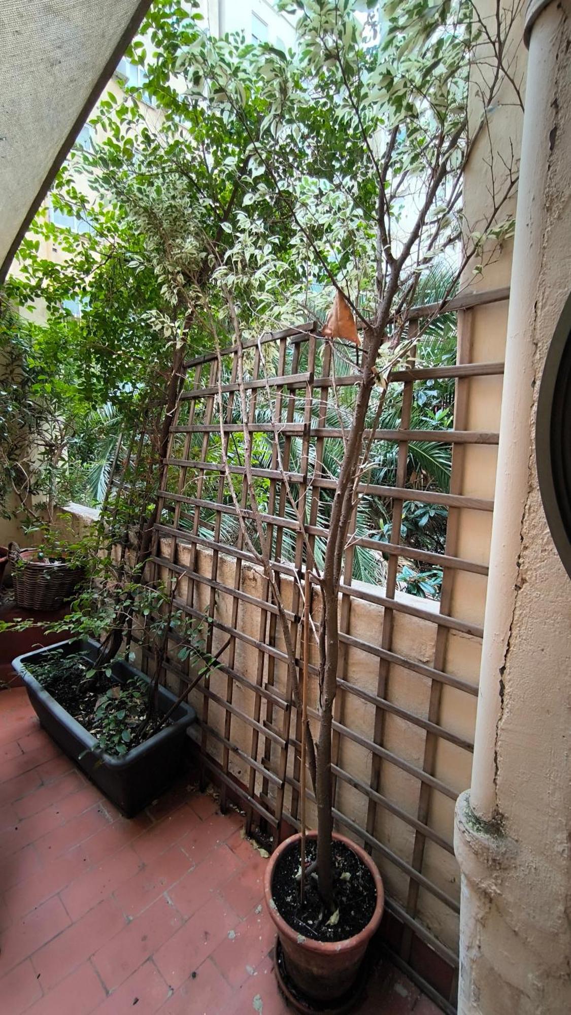 7 Moons B&B Valencia Luaran gambar
